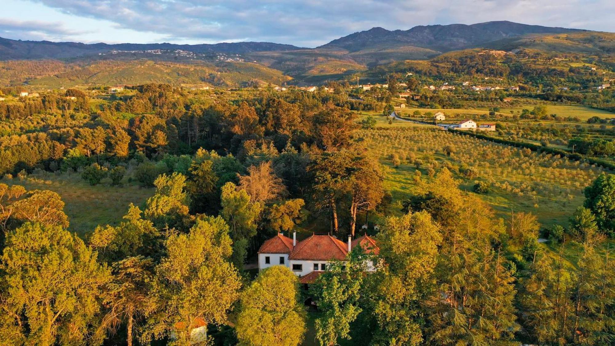 Lugar Da Pedra Alta - B&B - Private Historical Villa Melo 외부 사진