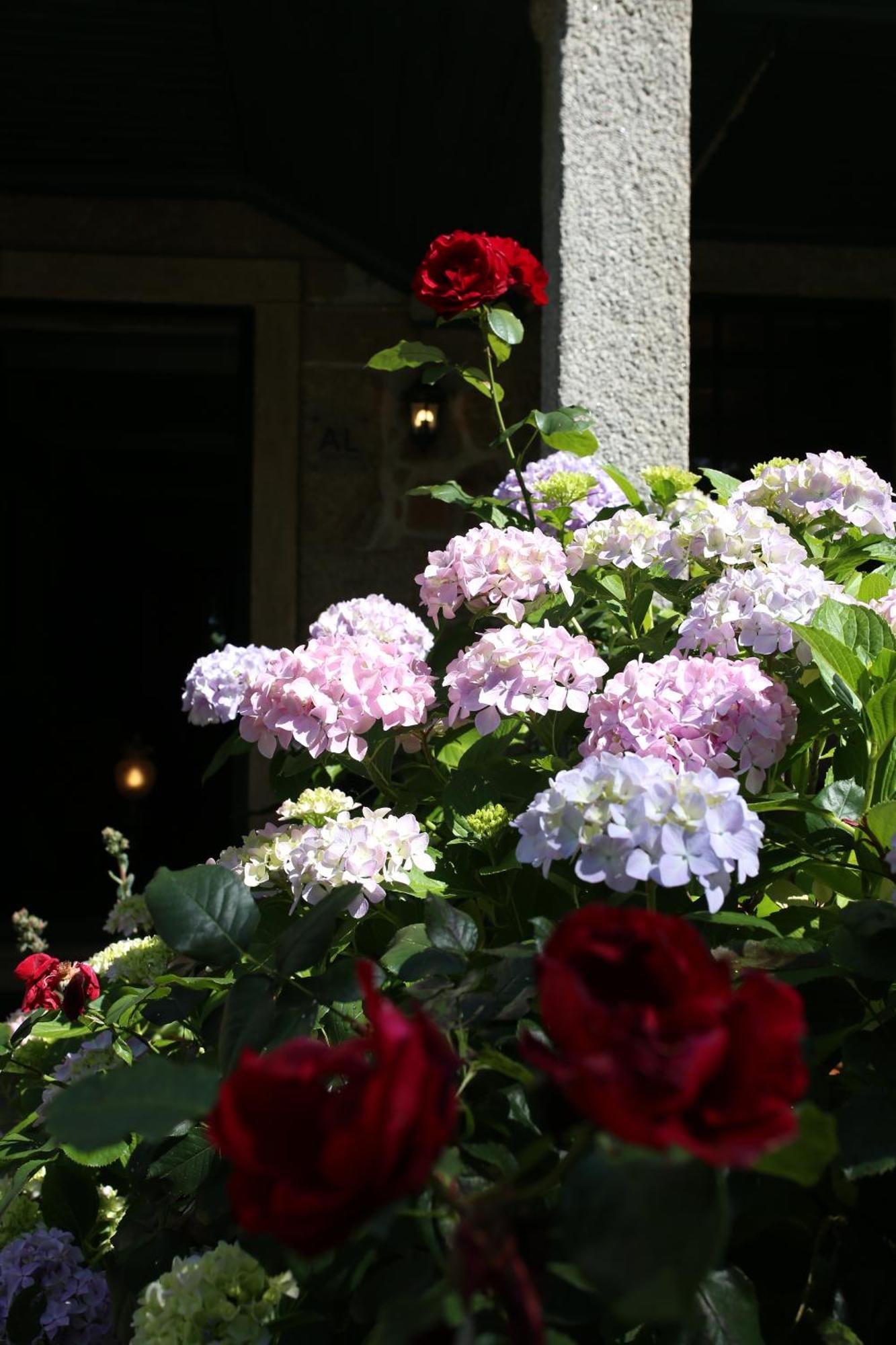 Lugar Da Pedra Alta - B&B - Private Historical Villa Melo 외부 사진