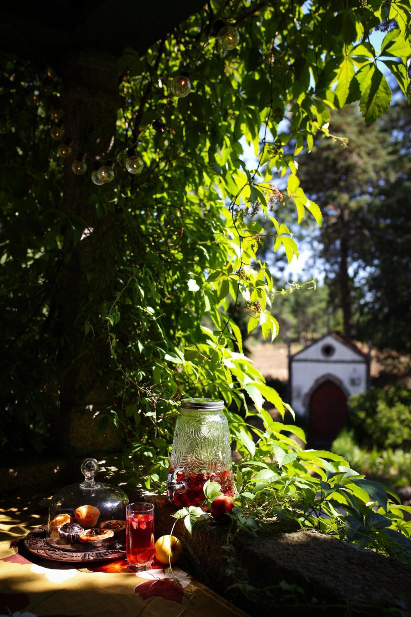Lugar Da Pedra Alta - B&B - Private Historical Villa Melo 외부 사진