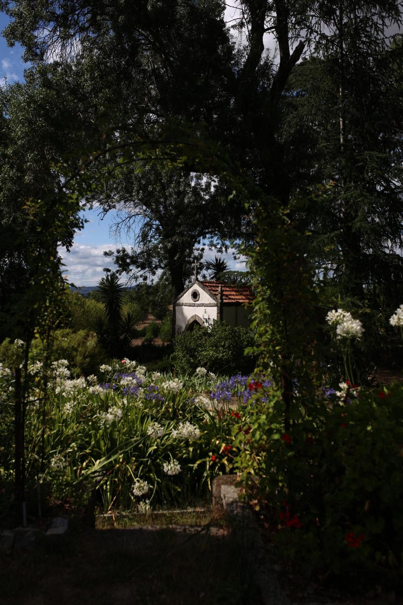 Lugar Da Pedra Alta - B&B - Private Historical Villa Melo 외부 사진